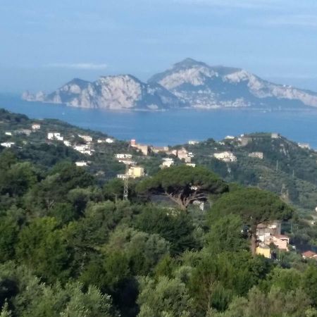 La Vista Sul Golfo Apartamento Massa Lubrense Exterior foto