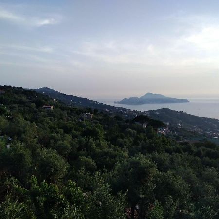 La Vista Sul Golfo Apartamento Massa Lubrense Exterior foto