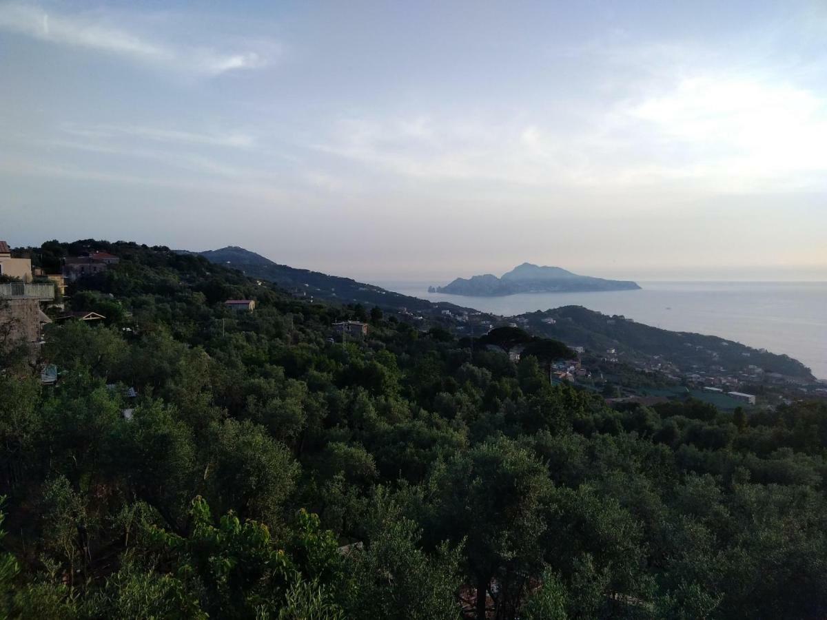 La Vista Sul Golfo Apartamento Massa Lubrense Exterior foto